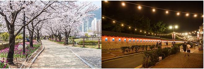 김해시 대표 봄 길 (왼)연지공원 (오)김해수로왕릉길 모습. 사진/김해시