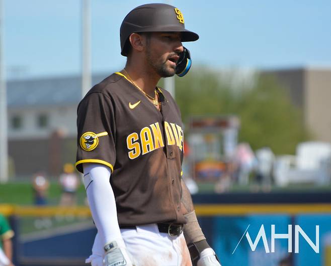 (메이저리그 통산 250홈런을 기록 중인 베테랑 닉 카스테야노스 )