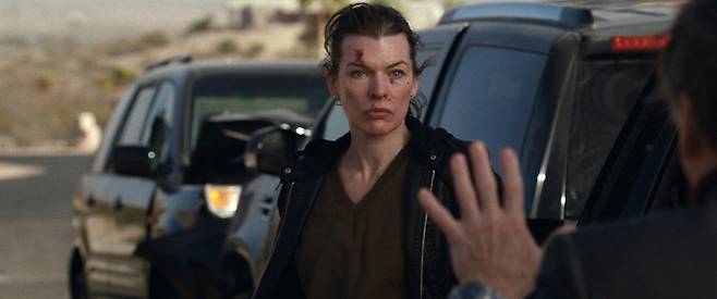 (사진 아낙시온 스튜디오, 블러썸 스튜디오)