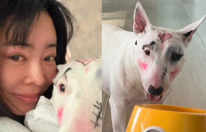 룰라 출신 이혜영이 반려견 얼굴에 화장을 한 모습을 공개했다.사진=본인 인스타그램 계정