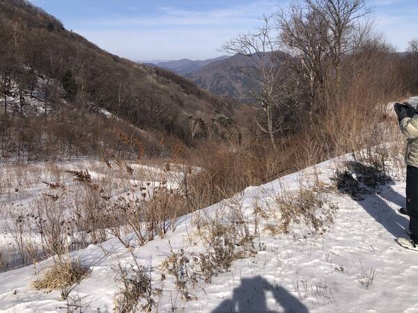 지난 2월 촬영한 정선 알파인스키장 중간 슬로프. 경사지에 눈이 쌓여있고, 잡목들이 들어서 있다. 김창금 기자