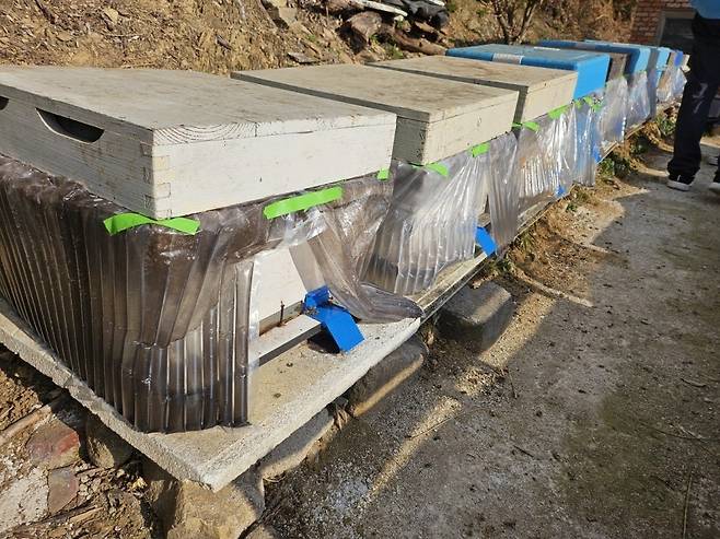 벌통 테두리에 물과 잠열재를 처리한 벌통 모습. 농촌진흥청 제공