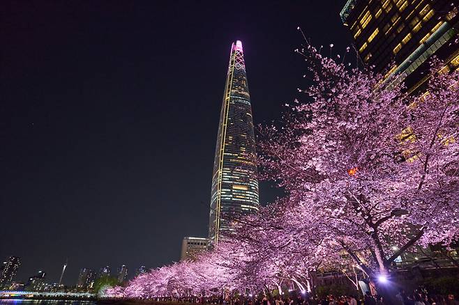 2025 스프링 인 잠실. 롯데물산 제공.