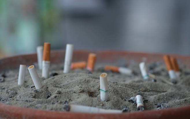 사진은 기사와 무관. [123RF]