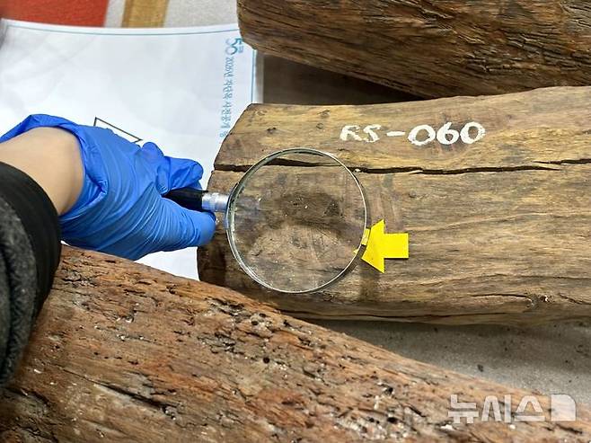 [목포=뉴시스] 한이재 기자 = 25일 국립해양유산연구소 강당에서 신안선 출수 자단목 사전공개 행사가 열리고 있다. 2026.03.25. nowone@newsis.com