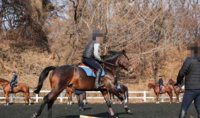 승마 교육장. 마사회 제공