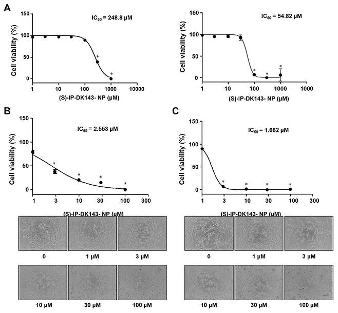 나노전달체가 항암효과를 높여 암세포 억제력을 향상시킨 결과. 호서대 제공