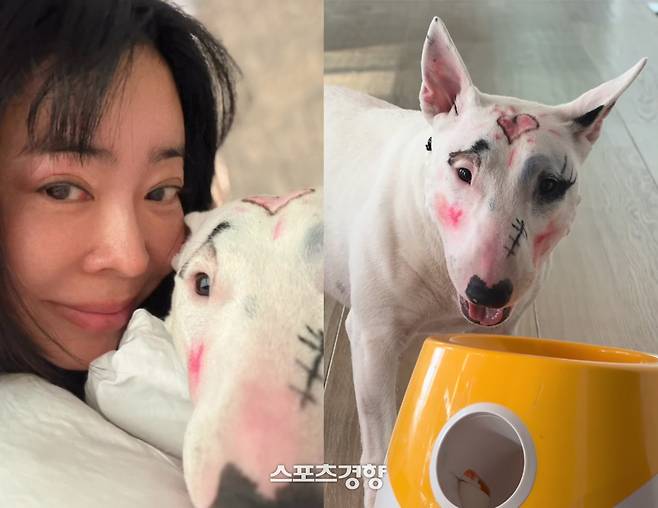 룰라 출신 이혜영이 반려견 얼굴에 화장을 한 모습을 공개했다 비판을 자초했다. 본인 인스타그램 계정
