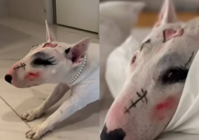 이혜영 인스타그램