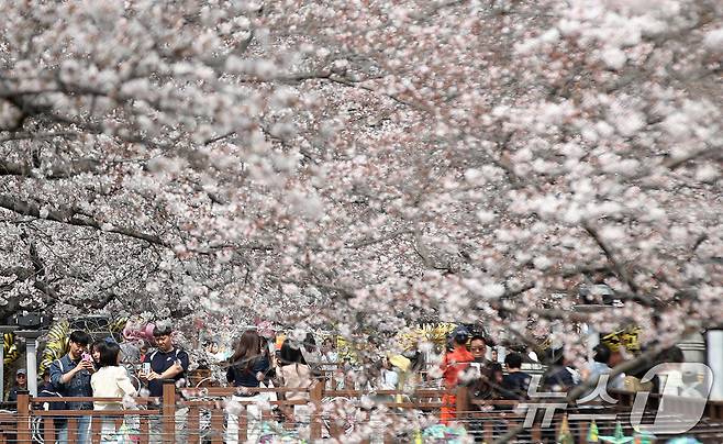 전국 최대 벚꽃 축제인 '제64회 진해군항제'가 개막한 27일 경남 창원 진해구 여좌천을 찾은 관광객들이 벚꽃을 감상하고 있다. 제64회 진해군항제는 이날부터 4월 5일까지 10일간 진해구 전역에서 진행된다. 2026.3.27 ⓒ 뉴스1 윤일지 기자