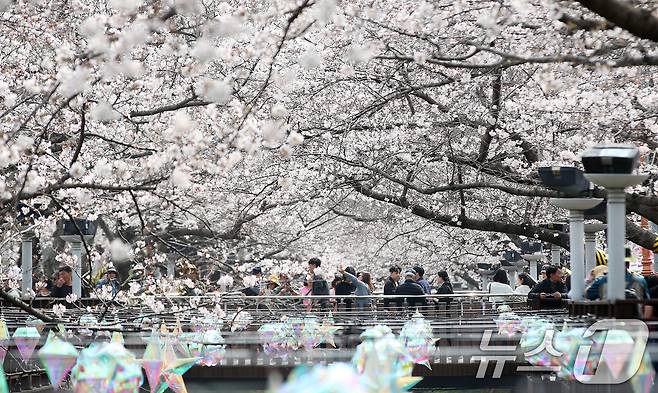 전국 최대 벚꽃 축제인 '제64회 진해군항제'가 개막한 27일 경남 창원 진해구 여좌천을 찾은 관광객들이 벚꽃을 감상하고 있다. 제64회 진해군항제는 이날부터 4월 5일까지 10일간 진해구 전역에서 진행된다. 2026.3.27 ⓒ 뉴스1 윤일지 기자