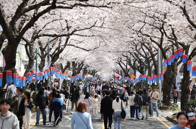 2026 전국 벚꽃 개화시기 및 만개시기, 대한민국구석구석
