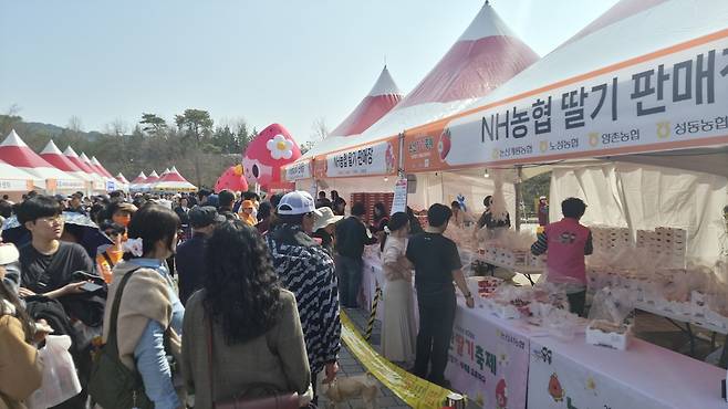 2026 논산딸기축제장을 찾은 관람객들이 논산 딸기를 구입하려고 줄을 서서 기다리고 있다. 정종만 기자