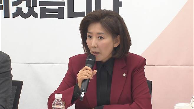 나경원 국민의힘 의원