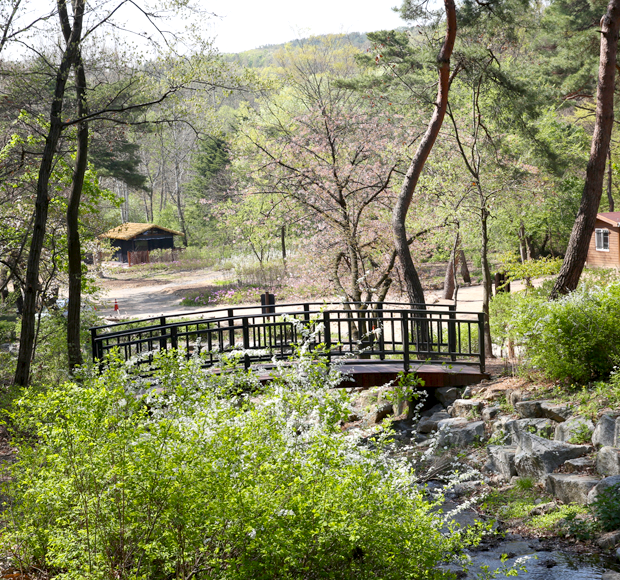 새롭게 단장한 서울대공원 치유의 숲. <서울대공원>