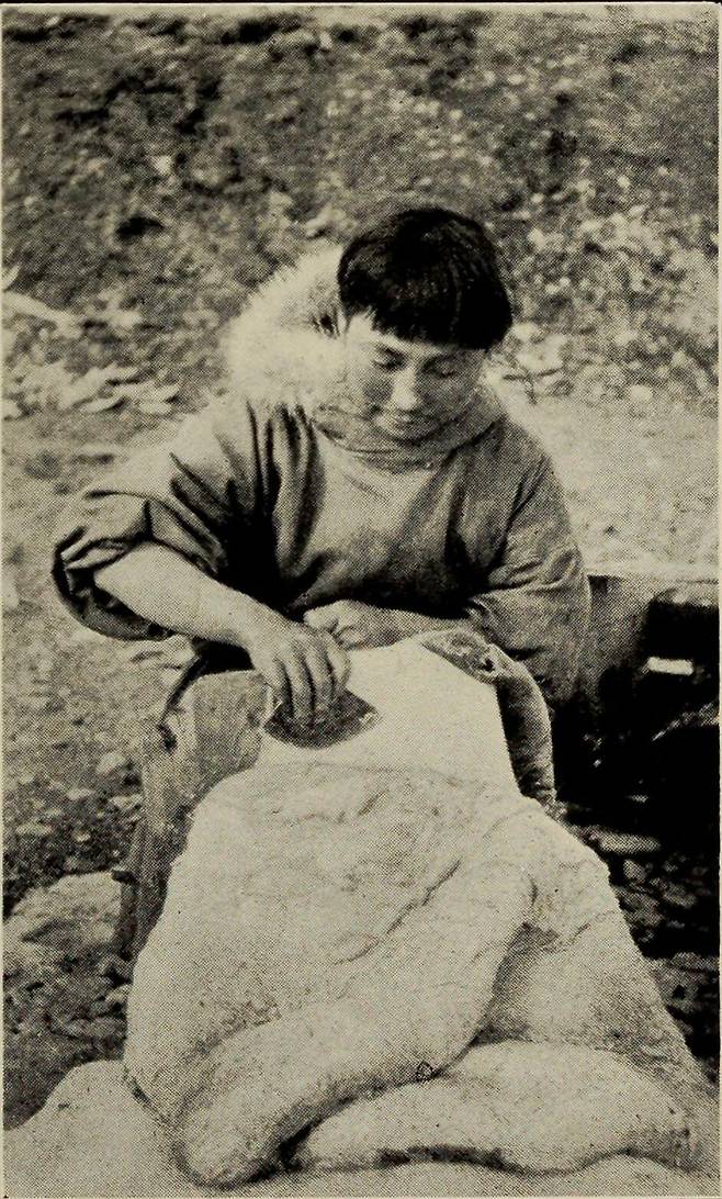 물개 가죽을 손질하는 에이다, 1925 [빌잘무르 스테판슨/브랑겔 섬의 모험]