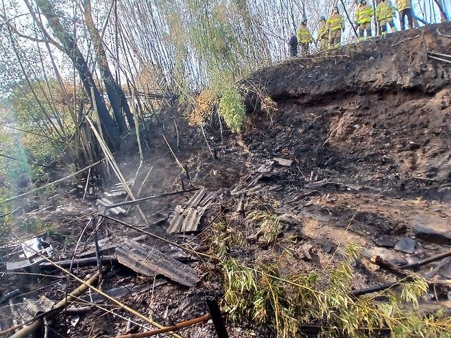 불이 난 고창의 한 대나무밭. 전북소방본부 제공
