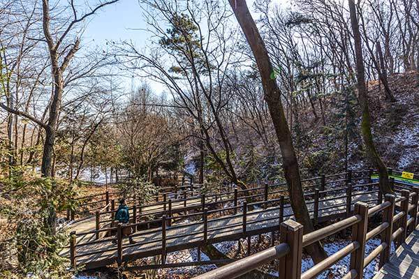 지그재그 형태의 산림욕장 데크길.