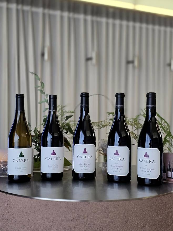 칼레라. 최현태 기자