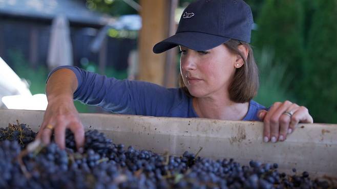 르네 아리 덕혼 빈야즈 헤드 와인메이커