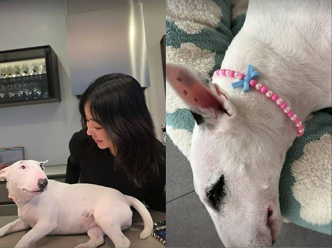 ▲ 출처| 이혜영 인스타그램