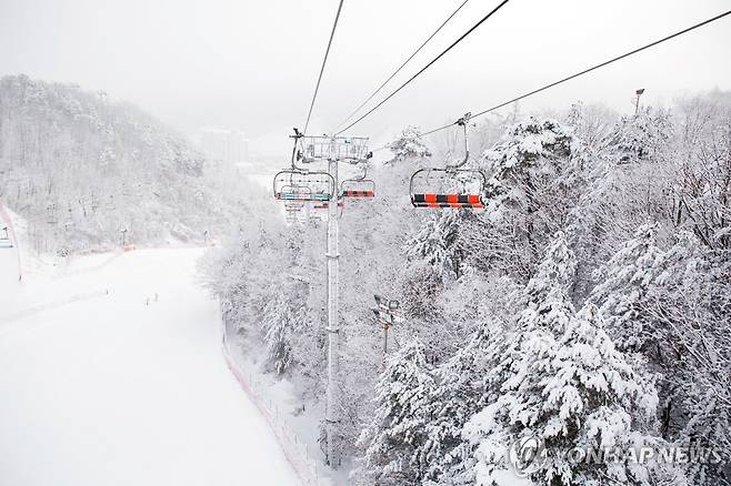 강원 스키장 [스키장측 제공.재판매 및 DB 금지]