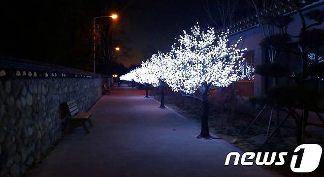 전북 남원시 광한루원 뒷담길에 조성된 ‘남원예촌 빛길’.(남원시 제공)2017.12.06. ⓒ 뉴스1 박효익 기자