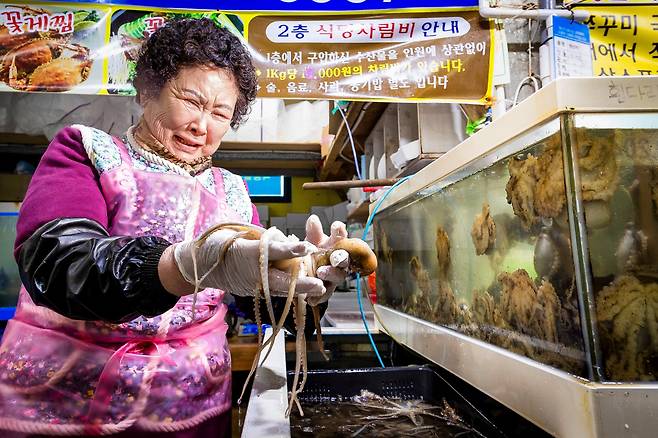 무창포수산물시장의 '한일호 수산' 주인이 싱싱한 주꾸미를 들어 보이고 있다. / 이건송 영상미디어 기자