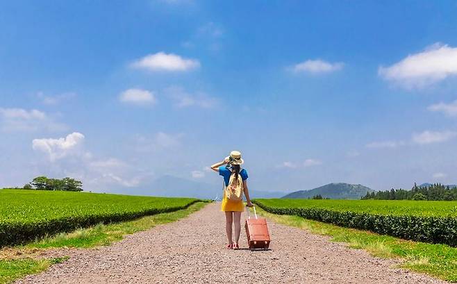 ⓒ스카이스캐너