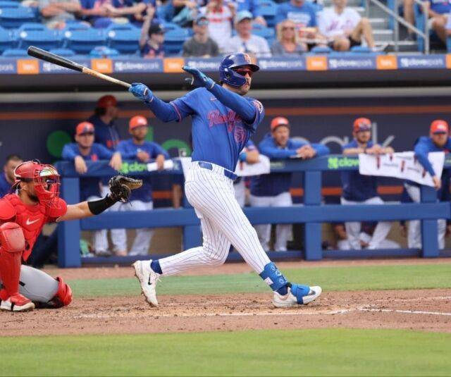 뉴욕 메츠 마이크 터크먼./메츠 머라이즈드 온라인 캡처