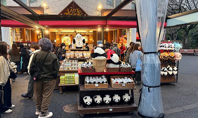 일본 도쿄 우에노동물원 내 기념품샵에 지난 20일 판다를 소재로 한 인형, 가방 등이 진열돼 있다. 도쿄=유태영 특파원