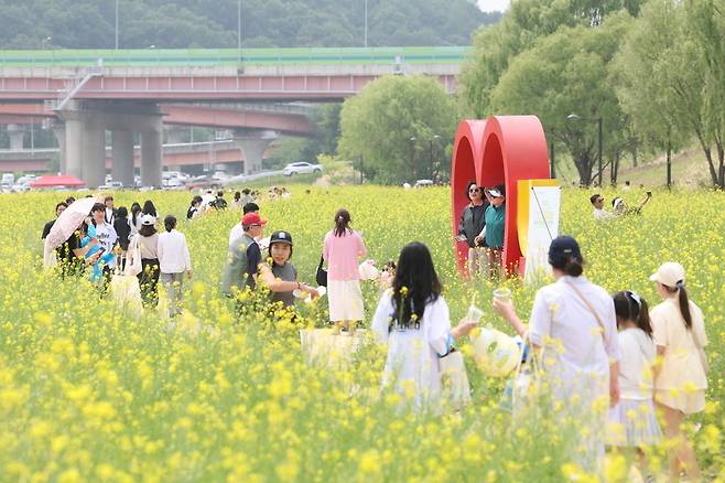 ▲ 지난해 강매석교공원에서 열린 창릉 유채꽃 축제.