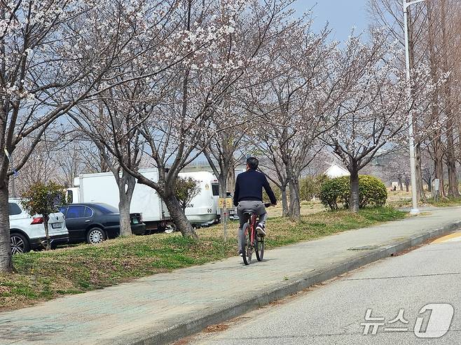 3월의 마지막 휴일인 29일, 따뜻한 봄 날씨를 맞은 부산은 주요 벚꽃 명소와 화명생태공원에는 야외 활동을 즐기려는 시민들로 종일 북적였다. 2026.3.29/뉴스1 ⓒ News1 임순택 기자