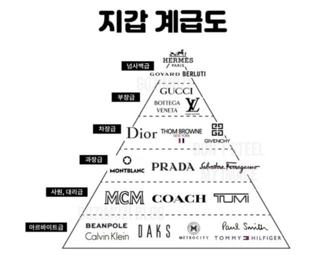 직장인의 지갑 브랜드 서열을 직위에 빗대 '넘사벽급'부터 '아르바이트급'까지 나열한 그림. /인터넷 커뮤니티