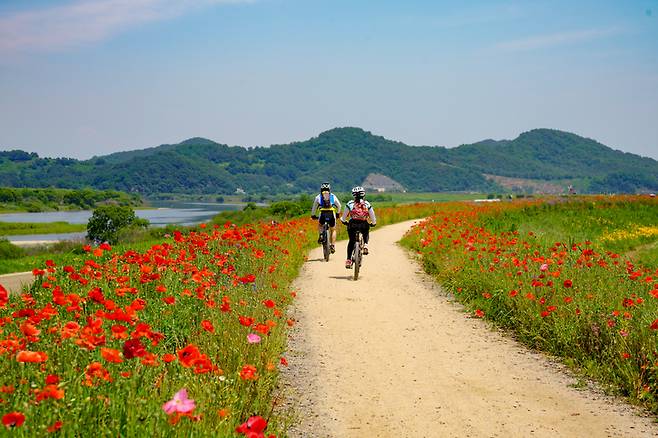 봄철 야외 활동이 늘면서 등산·자전거·드라이브 등 각종 사고도 함께 증가하고 있다. 하루 단위로 가입하는 레저·미니보험부터 모르고 지나치는 지자체 보험까지 봄나들이 전 보험 활용법을 점검해 본다. [게티이미지뱅크]