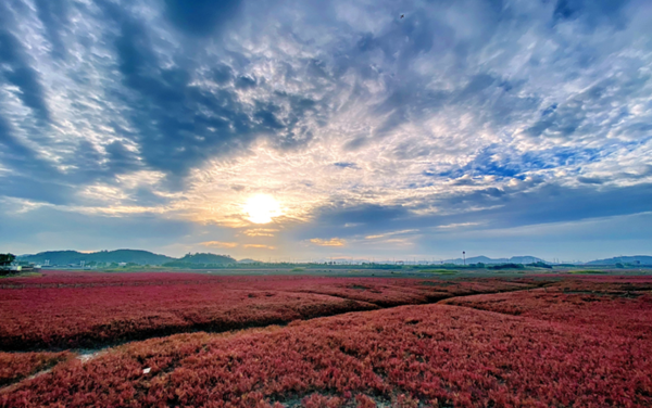 제5회 인천시민 공원사진가 전시회 당시 발표된 김철근 인천시민작가의 작품 '소래습지생태공원' 2023. 5. 11 [경인방송DB]