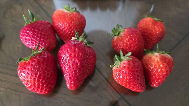 서산 지역 A농협 하나로마트에서 구매한 딸기 한 박스 내부에 있던 딸기 비교 모습(사진 독자 제공)