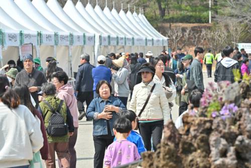 ◇‘제20회 정선 동강할미꽃 축제’가 지난 27일부터 29일까지 정선읍 귤암리 동강할미꽃 거리와 동강생태체험학습장 일원에서 1만여명의 관람객을 유치하며 성황리에 막을 내렸다.