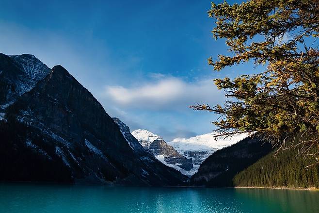 지구 온도가 2°C 상승하면 산지 초원의 식생뿐 아니라 토양 생태계까지 변화하는 것으로 나타났다. (사진 클립아트코리아)/뉴스펭귄