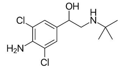 클렌부테롤(Clenbuterol)의 화학 구조식. 약사공론 DB.