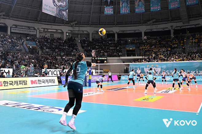 서브를 넣는 GS칼텍스 실바. 제공 | 한국배구연맹