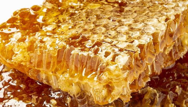 사진=클립아트코리아