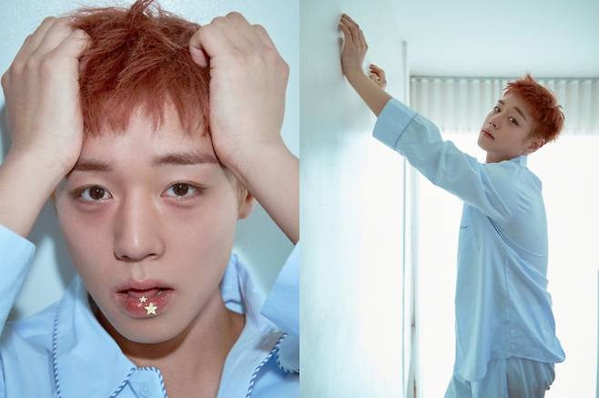 사진=YY엔터테인먼트 제공