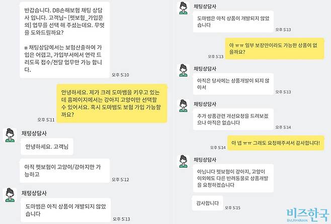 DB손해보험 채팅 상담을 통해 도마뱀의 펫보험 가입 가능 여부를 물어보자 고양이와 강아지만 가능하다는 응답이 돌아왔다. 사진=윤채현 인턴기자