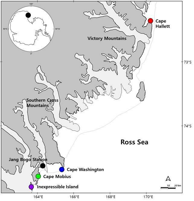 남극 로스해 북빅토리아랜드 해안의 남극도둑갈매기 번식지. 케이프 할렛(Cape Hallett), 케이프 워싱턴(Cape Washington), 케이프 뫼비우스(Cape Mbius), 인익스프레서블섬(Inexpressible Island). 극지연구소 제공