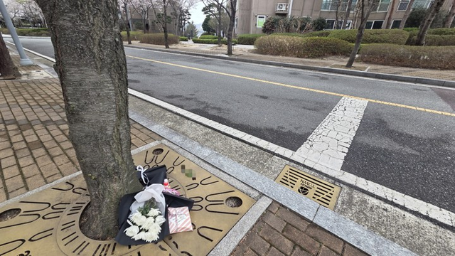 지난 30일 울산의 한 아파트 단지 내 도로에서 8살 초등학생이 스포츠유틸리티차(SUV) 차량에 치여 숨지는 사고가 났다. 31일 오후 사고 현장 도로변에 국화꽃과 손 편지 등이 놓여 있다.  [울산=연합뉴스]