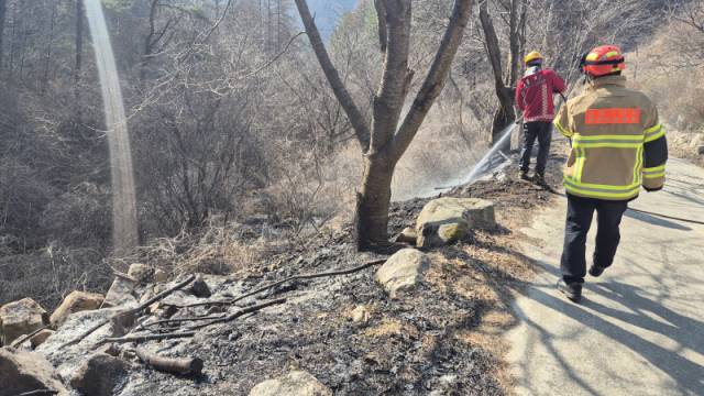 ▲ 28일 오후 2시 56분쯤 인제군 남면 부평리 43-1에서 화재가 발생해 0.06㏊ 면적의 시초류를 태우고 3시 20분쯤 꺼졌다.