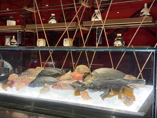 쿠사 노리 / 사진=권효정 여행+ 기자