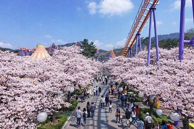 [서울랜드]