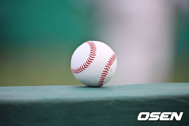 [OSEN=부산, 이석우 기자] 야구공 051 2025.05.31 / foto0307@osen.co.kr
